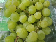 Green seedless Grapes