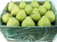 Pear (Packham)