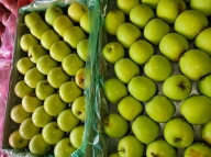 Apples (Green)