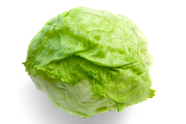 Lettuce Iceberg