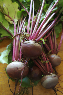 Beetroot