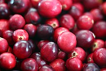 Fresh Cranberry