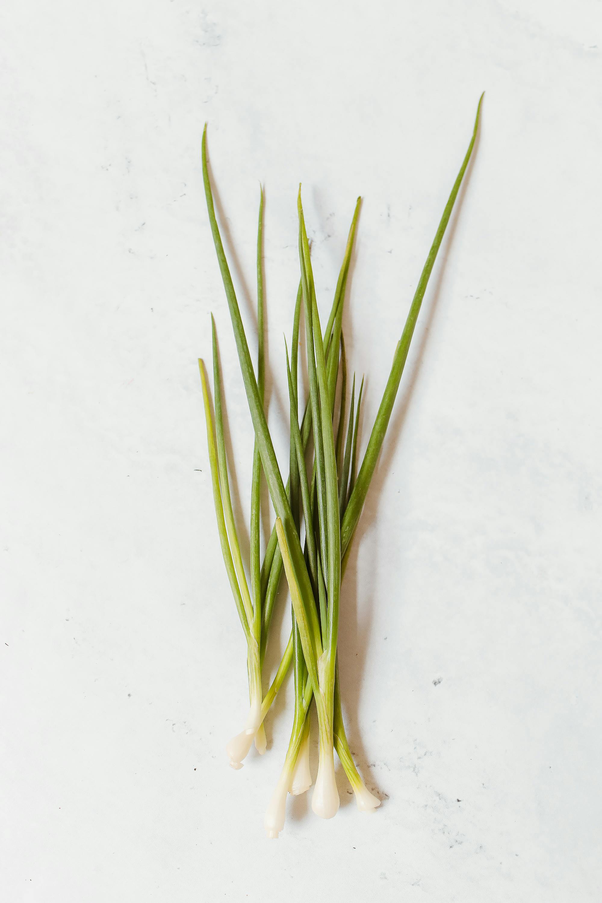 Herbs Chives