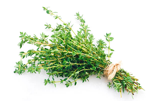 Herbs Thyme