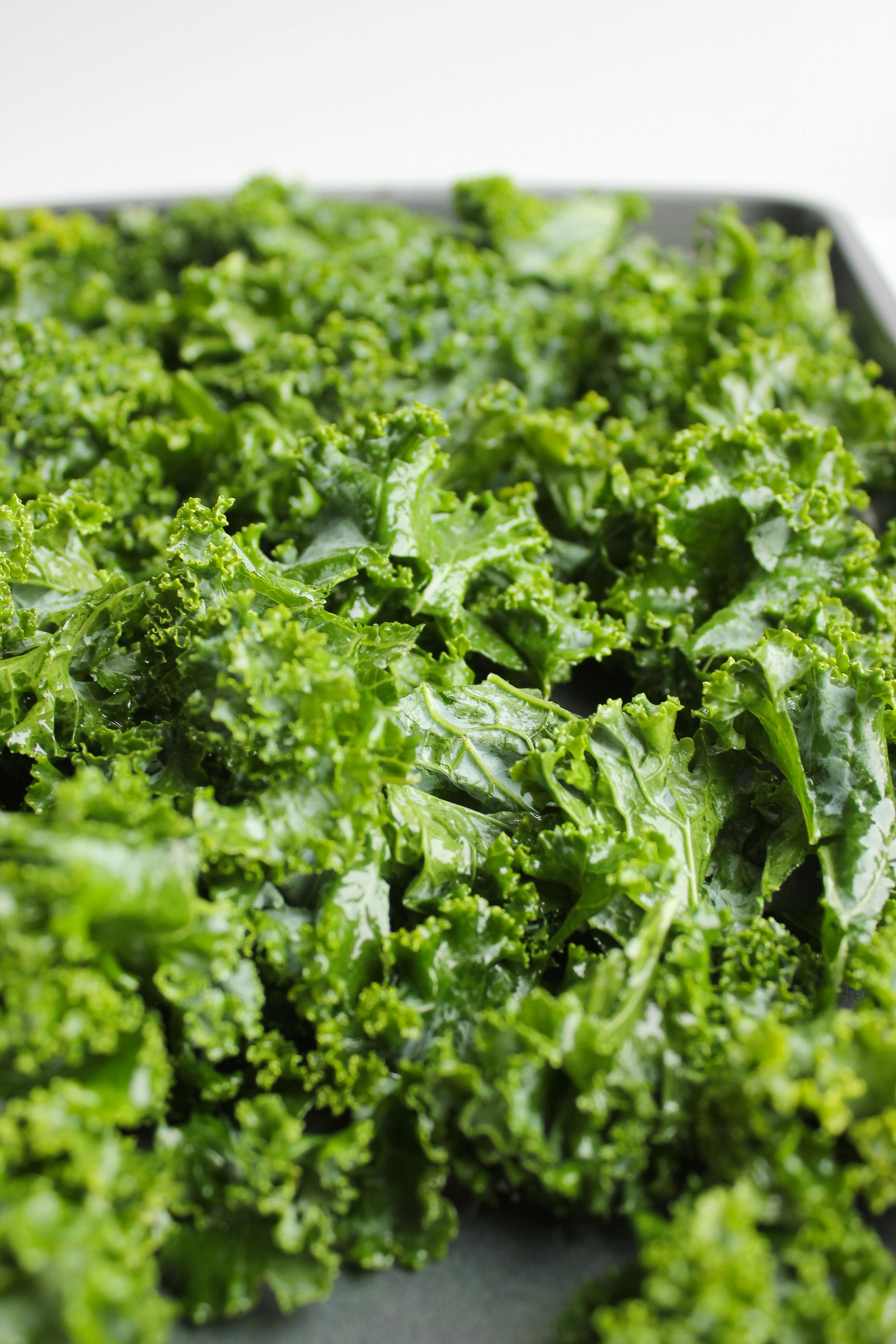 Baby Leaves Green Kale